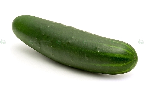 Cucumber_2.jpg